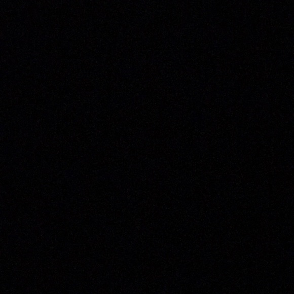 Meet your Posher, Max - Picture 1 of 1